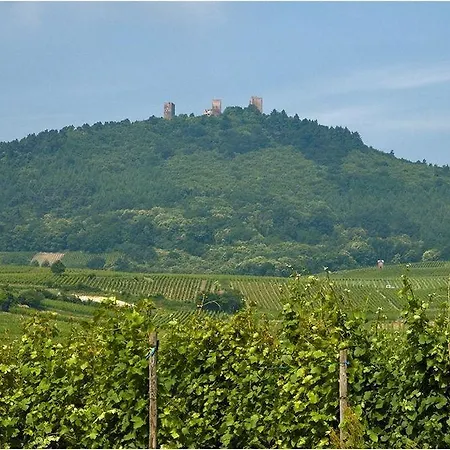 Fast Colmar Szálloda *