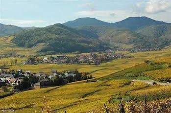 Fast Colmar Hotel Houssen